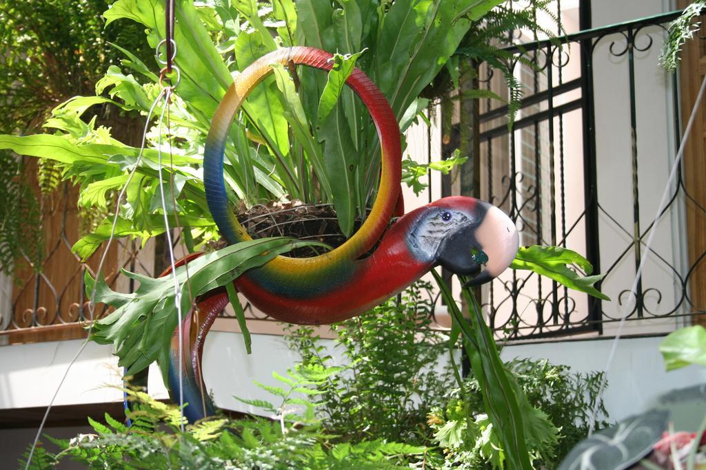 Hotel Casa Lima 3*
